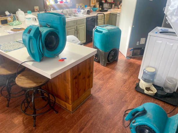 Best Residential water damage restoration  in Cambridge, MN