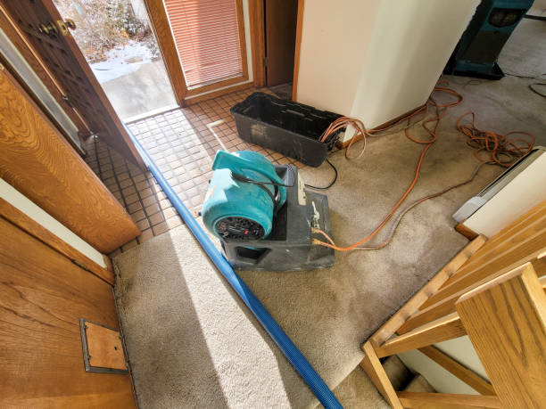 Best 24/7 water damage repair  in Cambridge, MN