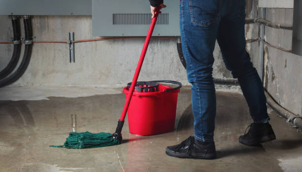 Best Flood restoration services  in Cambridge, MN