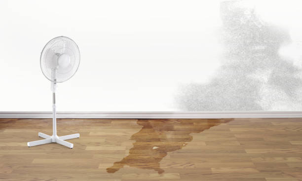 Best 24-hour water damage restoration  in Cambridge, MN