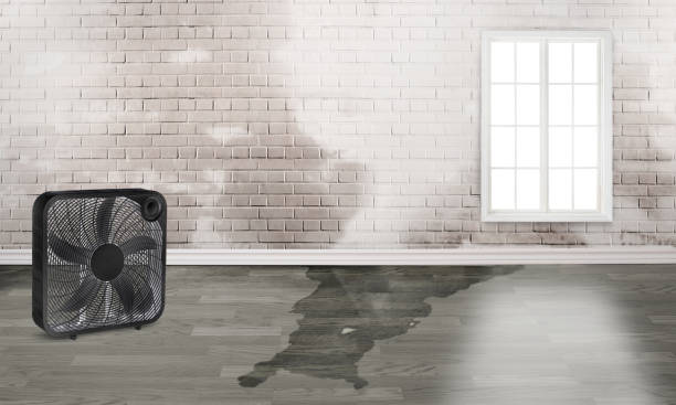 Best Fire Damage Restoration  in Cambridge, MN