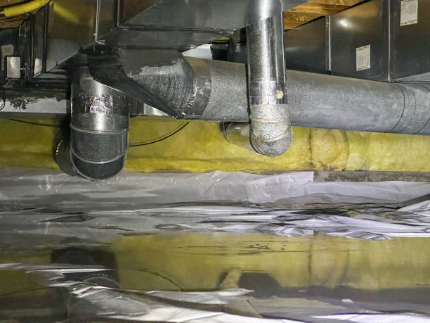 Best Carpet water damage restoration  in Cambridge, MN