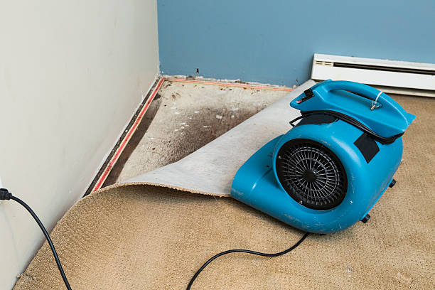 Best Local water damage restoration  in Cambridge, MN